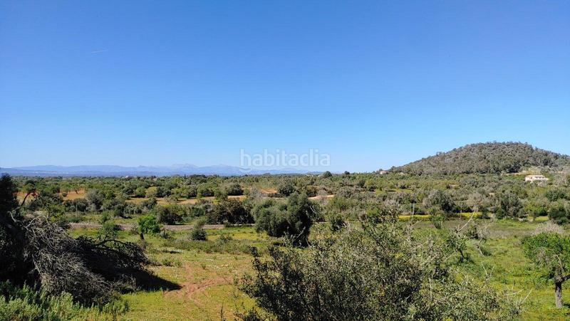 Foto c3669100-9f53-4377-9d0c-44d93a6f2d02. Terreno residenziale in S´Horta - Cas Concos des Cavaller - Es Carritxó Felanitx