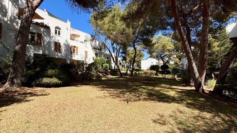 Foto 96c216c3-2bf0-42b5-980a-d4328ff2c747. Semi detached house with parking pool in Sol de Mallorca Calvià
