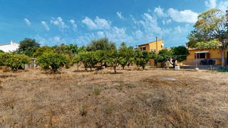 Masia a Son Sardina. Encantadora casa rústica con jardín y garaje en son sardina, pal