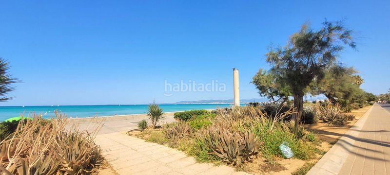 Foto 0e83f669-5e4e-4114-a5ec-e32886d6b8e0. Pis a S´Arenal Palma de Mallorca