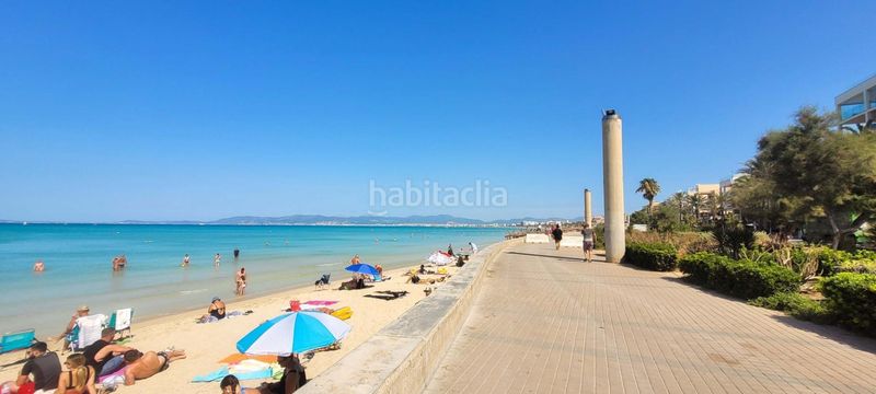 Foto 46538164-61bc-464d-be0f-8ed152709f0a. Pis a S´Arenal Palma de Mallorca