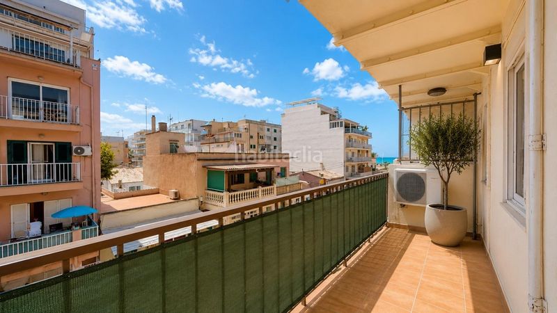 Foto c959f14e-7cb9-4c30-8456-528f0bf5ed38. Pis a S´Arenal Palma de Mallorca