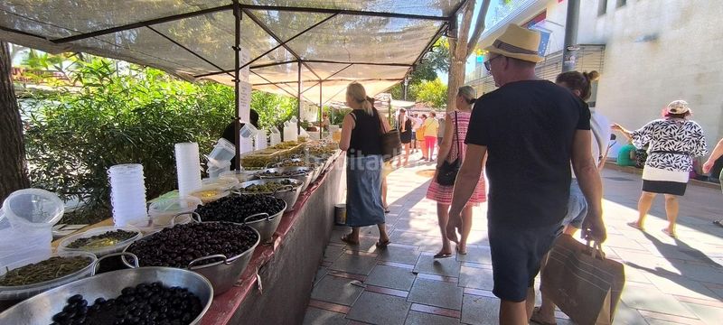 Foto 43ab1b2e-4b40-487d-87cb-aff9ff6bab25. Piso acogedor piso con terraza en planta de 136m2, parking y vistas al bosque a 30 metros de la playa de Peguera, en Calvià