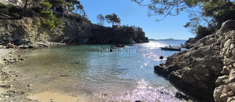 Foto 4b7b4bb9-9d3e-4865-8f16-5f716f912d8d. Piso acogedor piso con terraza en planta de 136m2, parking y vistas al bosque a 30 metros de la playa de Peguera, en Calvià