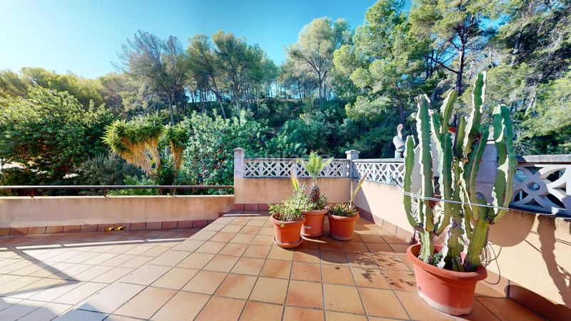 Foto 5a88ecc5-b7b0-4146-a970-17069481ddee. Piso acogedor piso con terraza en planta de 136m2, parking y vistas al bosque a 30 metros de la playa de Peguera, en Calvià