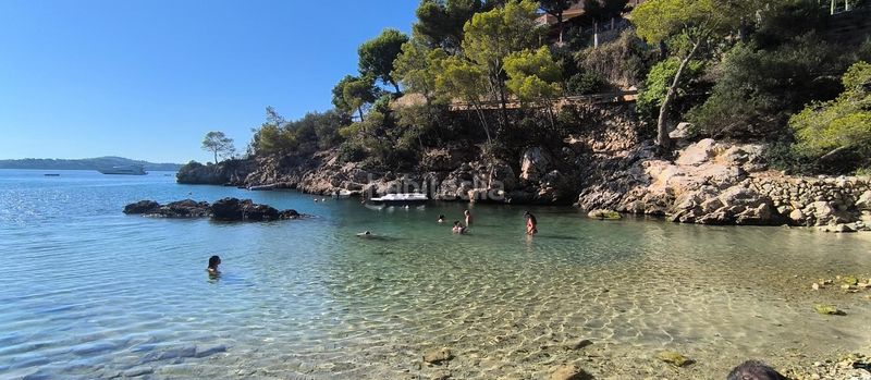 Foto 83555c31-86ed-444f-9498-8dc60cdf66c3. Piso acogedor piso con terraza en planta de 136m2, parking y vistas al bosque a 30 metros de la playa de Peguera, en Calvià