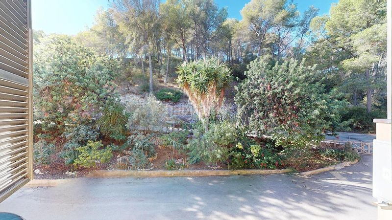 Foto b4167347-259d-4590-b004-9d25078b5b2f. Pis amb aparcament a Peguera Calvià