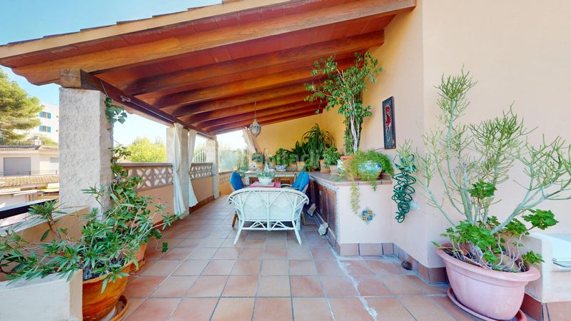 Foto cbbce7f1-54b4-4802-868f-1ae745a86885. Piso acogedor piso con terraza en planta de 136m2, parking y vistas al bosque a 30 metros de la playa de Peguera, en Calvià