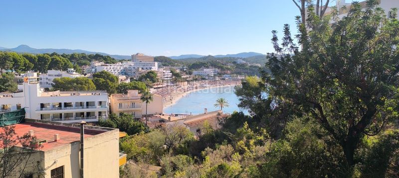 Foto cc7a1c65-a484-4732-9950-353dc90807a9. Piso acogedor piso con terraza en planta de 136m2, parking y vistas al bosque a 30 metros de la playa de Peguera, en Calvià