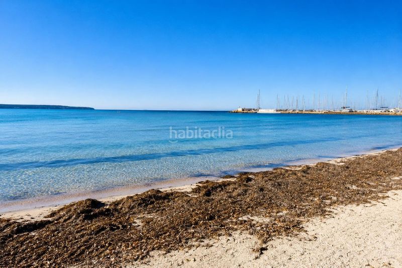 Foto 9a2bc765-3f4f-454e-bf86-2fafaa3f96e6. Planta baja fantástica planta baja en Can Pastilla cerca de la playa con amplia terraza y parking exterior cubierto en Palma de Mallorca