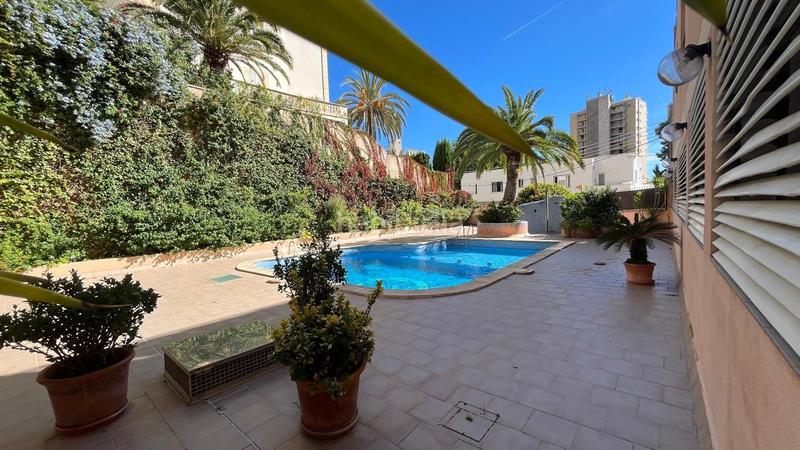 Foto c27d7986-c31d-45f2-9e16-34b2374eccf7. Attico con riscaldamento parcheggio piscina in Sant Agustí Palma de Mallorca