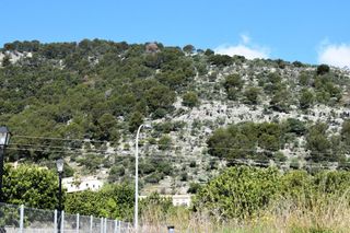 Terreny residencial a Alaró
