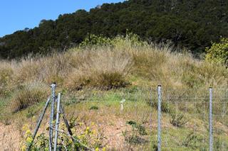 Terreno residencial en Alaró. Parcela para construir dos viviendas unifamiliares en alaró