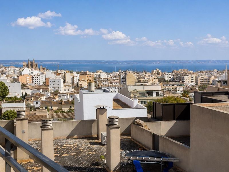 Foto 66aa90dd-3a97-476b-a32b-6d7faf5a2c8c. Pis a Son Espanyolet Palma de Mallorca