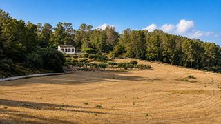 Finca rústica a Algaida. Solar en un entorno tranquilo de algaida