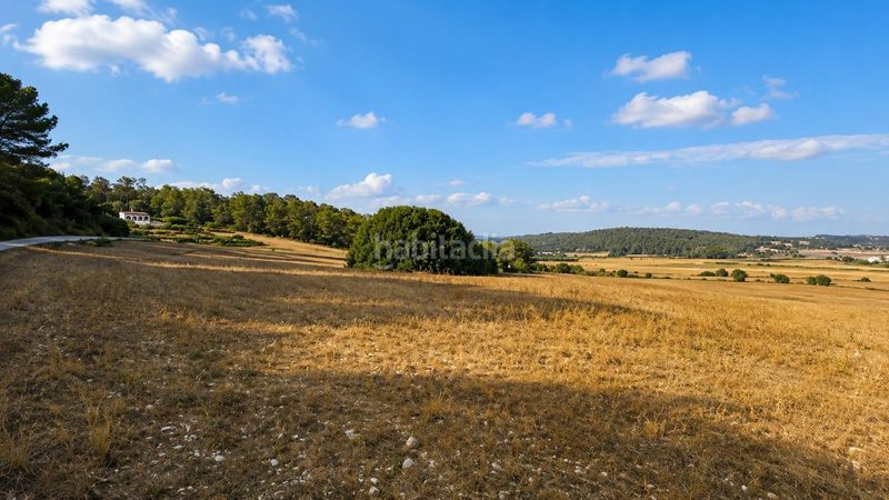 Foto 50982651-45b1-45dd-9182-441c8a130387. Finca rústica a Algaida