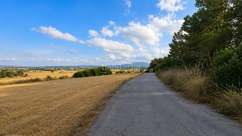 Foto fca1ee19-a8a3-4f3b-877b-4c5409b3a2e8. Finca rústica a Algaida