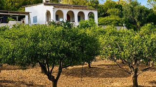 Bauernhof in Algaida. Finca rústica con casa y amplia parcela en algaida