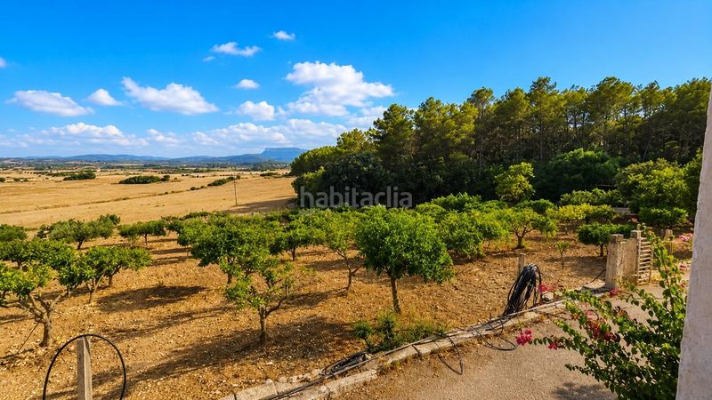 Foto a5899a85-82b1-42e4-a2ad-d583cabb8158. Masia a Algaida