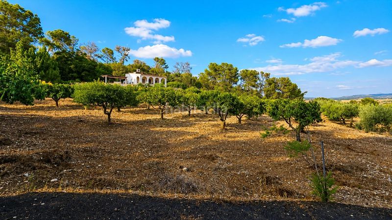 Foto a78455d0-d889-47cb-810d-9bafaa3ef5f5. Masia a Algaida