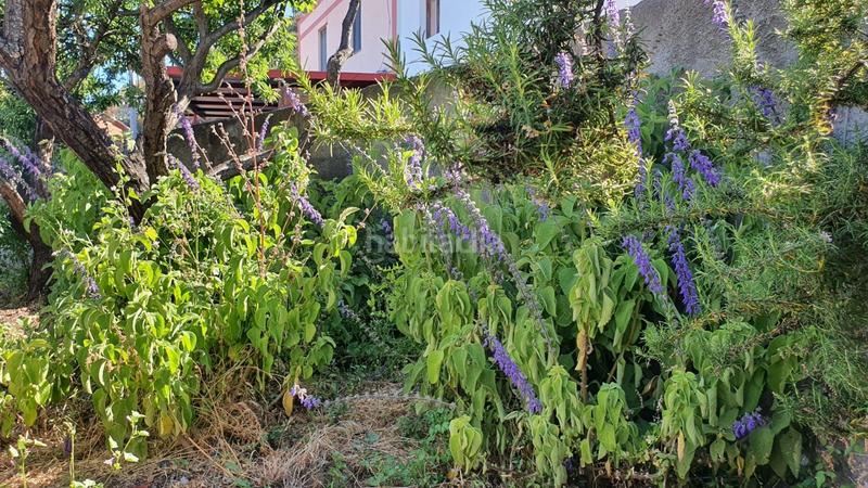 Foto 4d4dae7d-a6b1-4ff8-8908-6e202ac9e39d. Casa encantadora casa independiente en el pinar tranquilidad y naturaleza en el hierro en Pinar de El Hierro (El)