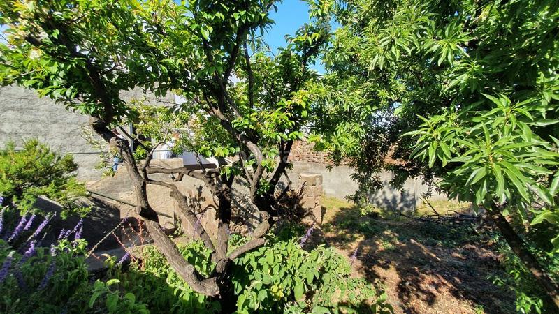 Foto 98a607d2-d54a-426c-acf7-ec9d3ee120e2. Casa encantadora casa independiente en el pinar tranquilidad y naturaleza en el hierro en Pinar de El Hierro (El)