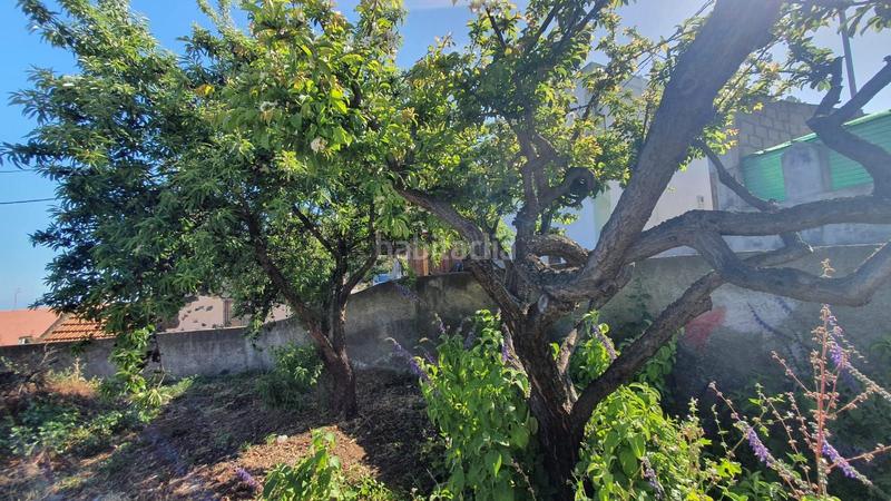 Foto fe6d99e0-84a2-439e-9c75-4250eec71e7a. Casa encantadora casa independiente en el pinar tranquilidad y naturaleza en el hierro en Pinar de El Hierro (El)