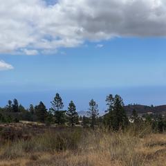 Finca rústica en El pilon - vilaflor. Oportunidad única en vilaflor de chasna, tenerife