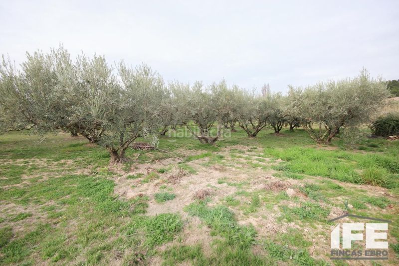 Foto 98186bc8-4438-4095-910f-f76381be7dba. Casale con piscina in Corella