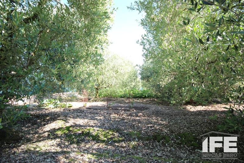 Foto 3015e678-ff73-4a12-a5d6-14b221bccf51. Casale con piscina in Corella
