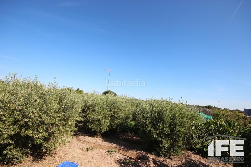 Foto 36993843-d297-475b-ab04-7c842e009342. Casale con piscina in Corella