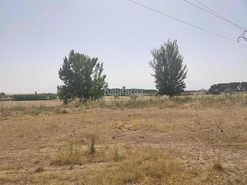 Foto 5850d810-1f25-42fb-a04c-f58273cbabdd. Finca rústica a Alagón