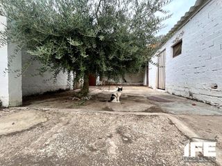 Maison à Torres de Berrellén. Casa con patio en torres de berrellén lista para entrar a vivir