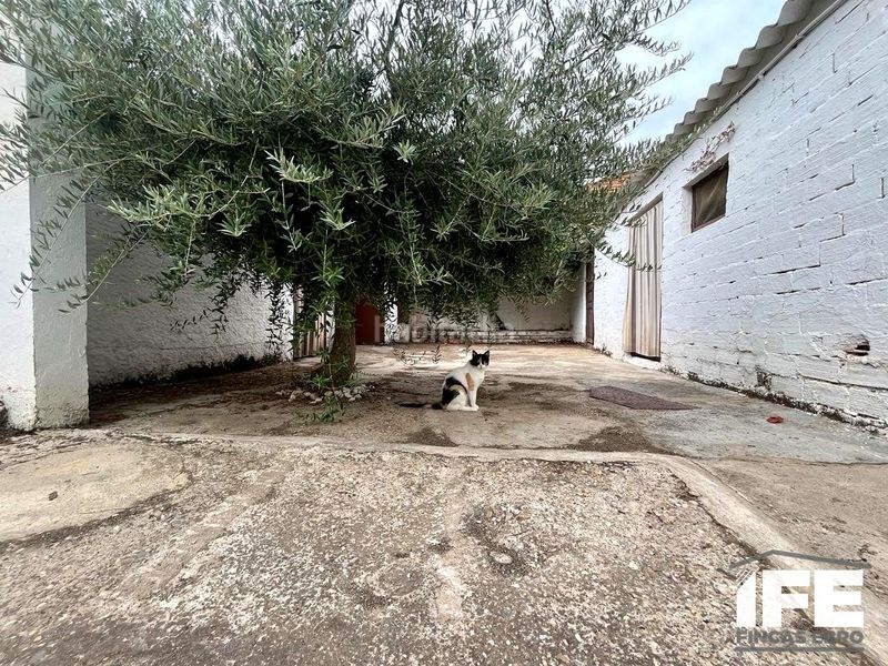 Foto 8856e7b1-4dd7-433f-aa41-9215b010b5fd. Casa amb aparcament a Torres de Berrellén