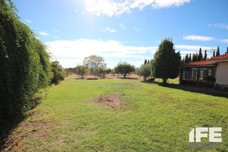 Masia  Diseminados 1. Caseta de campo en corella
