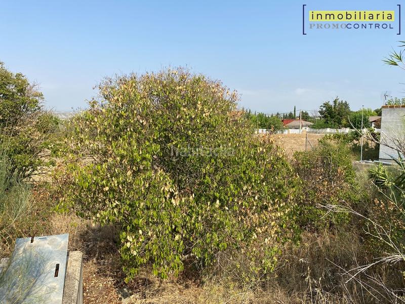 Foto caa9d7e3-ae08-4eb3-9061-dd4d79185503. Terreno residencial en calle baltasar gracián 70 terreno en urbanización el saso en San Mateo de Gállego