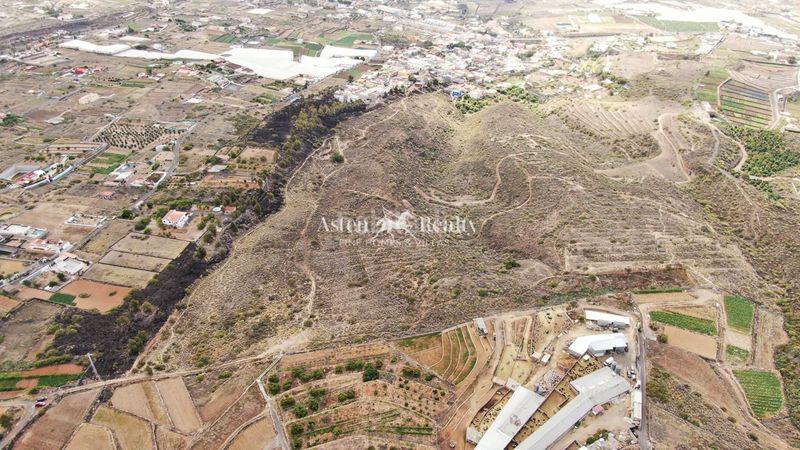 Foto 90f9b811-9687-4516-a9e4-3d0d132be352. Finca rústica a Centro Güímar