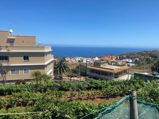 Landgut  Local tf - 172. En el sauzal