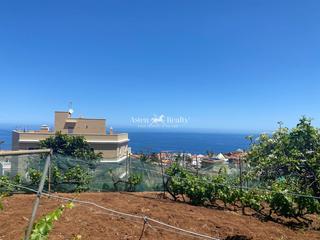 Finca rústica  Local tf - 172. En el sauzal