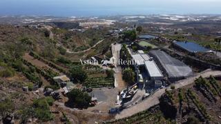 Finca rústica  Roques. En guia de isora