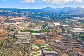 Finca rústica  Finca el morenero. Gran plantación de plátanos guia de isora