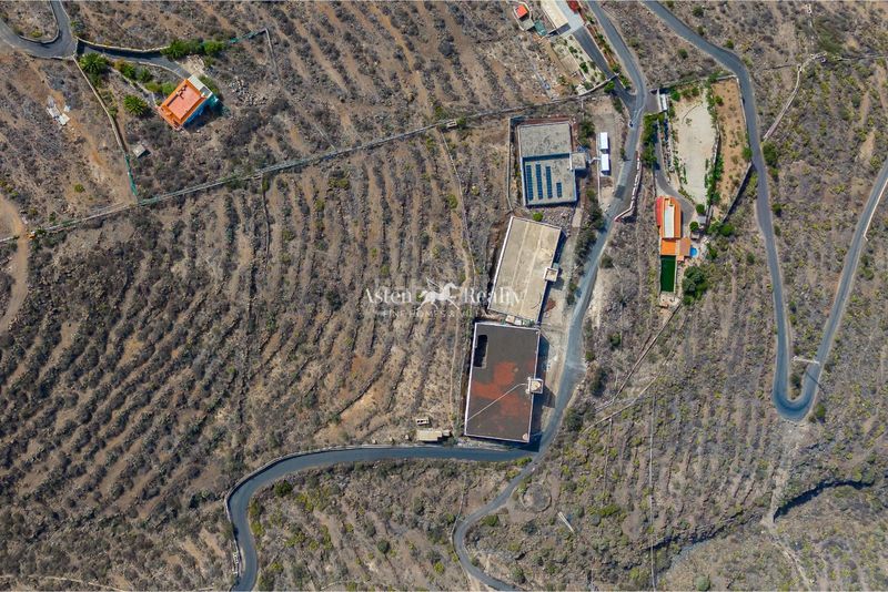 Foto 16071de4-443b-4639-97e5-3fb038243ce7. Finca rústica a las moraditas 53 a Armeñime - Las Moraditas - Las Cancelas Adeje
