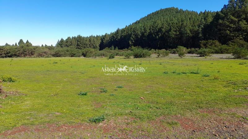 Foto a0830957-7470-46aa-a8aa-509e2926fb76. Finca rústica a Matanza de Acentejo (La)
