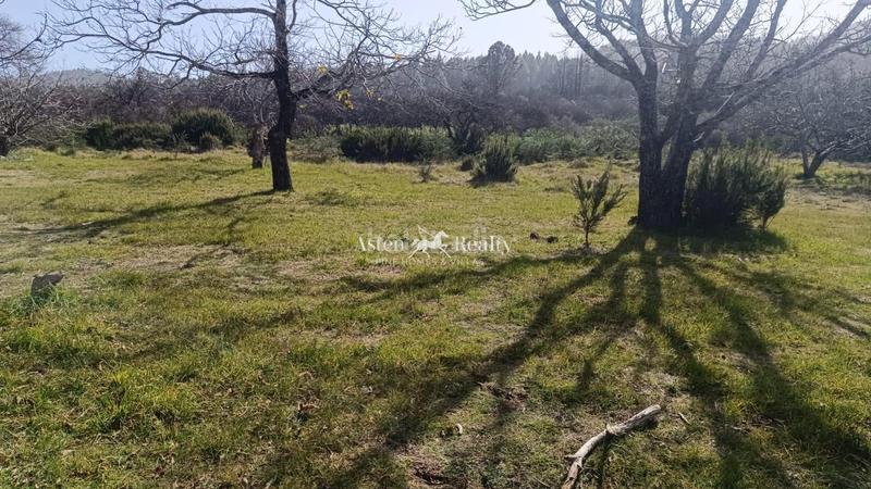 Foto e7e5699b-a69d-480c-ac71-f3ccea0095d1. Finca rústica a Matanza de Acentejo (La)