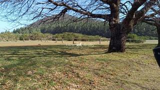 Finca rústica a Matanza de Acentejo (La). Un mundo de posibilidades donde disfrutar de la naturaleza.