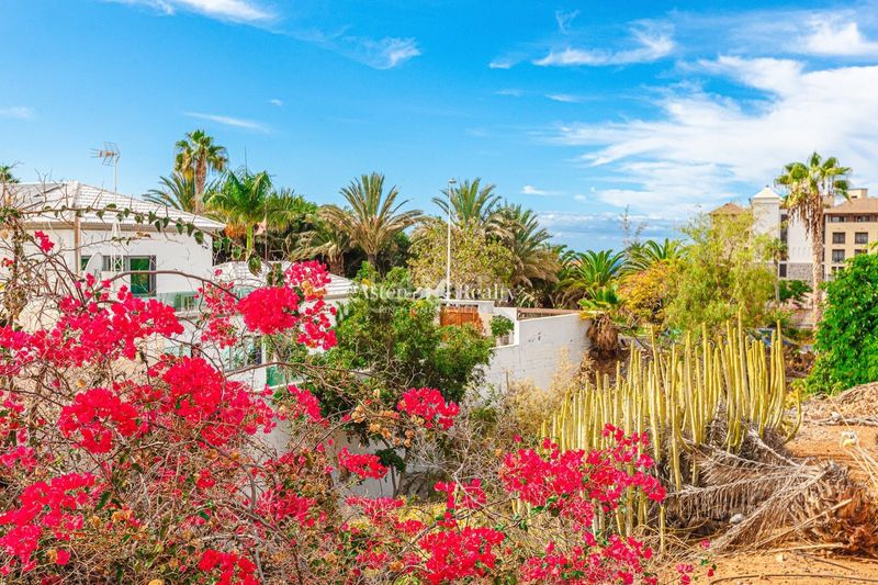 Foto 3bfae924-1ef4-4670-808a-c0e4449c2304. Casa adossada amb aparcament piscina a Playa del Duque Adeje