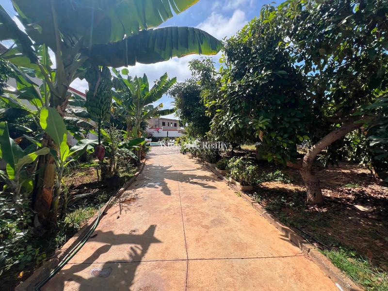 Foto cf748630-eb6d-4aee-9d88-dd831110a4b6. Finca rústica a Tamaimo - Arguayo Santiago del Teide