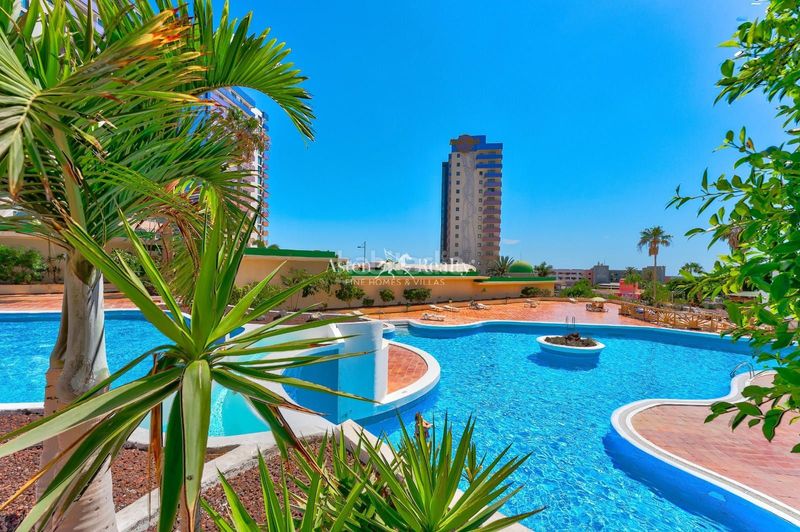Foto dafac692-4757-4ce2-9617-4dcdaed7a958. Apartament amb piscina a Callao Salvaje - Playa Paraíso Adeje