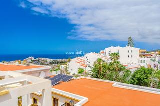 Apartament  País vasco. En torviscas alto