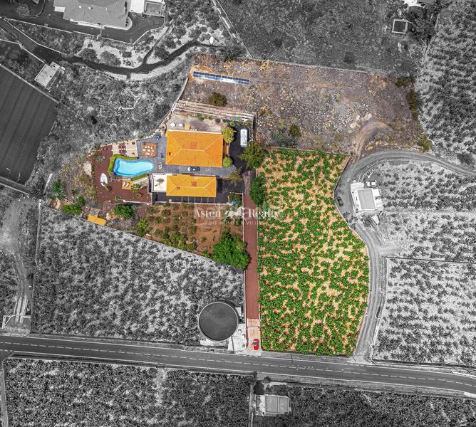 Foto c2430e88-7e59-4048-bc48-12eee2bb8200. Xalet amb calefacció piscina a Puerto de Santiago Santiago del Teide